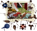 Siesta