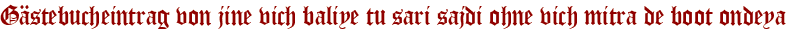 Gästebucheintrag von jine vich baliye tu sari sajdi ohne vich mitra de boot ondeya